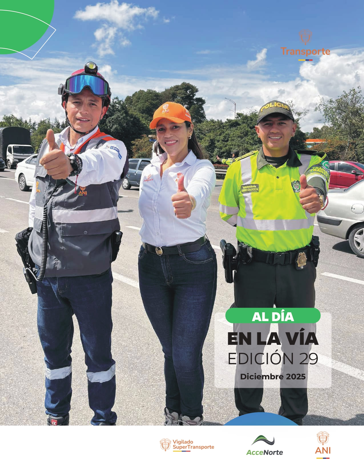 BOLETÍN 29